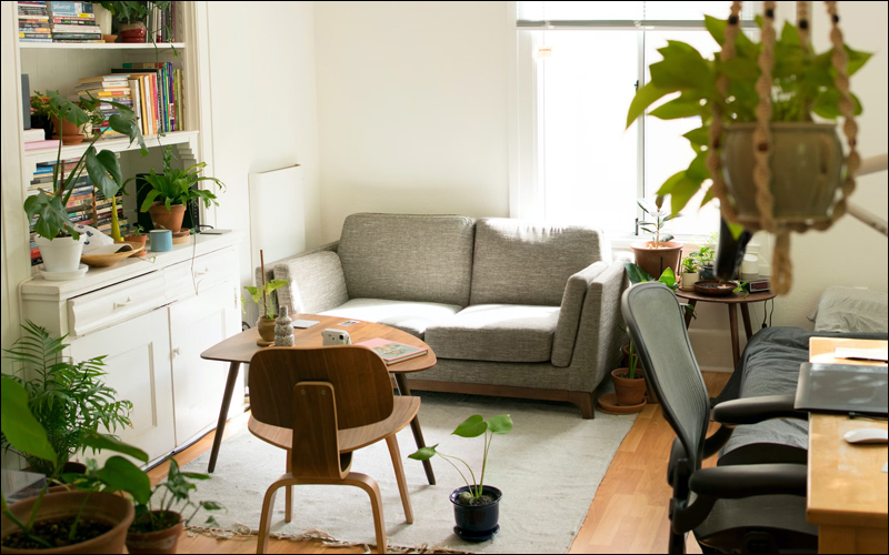 Photo of living room with couch, desk, rug, bookshelf, laptop, plants.