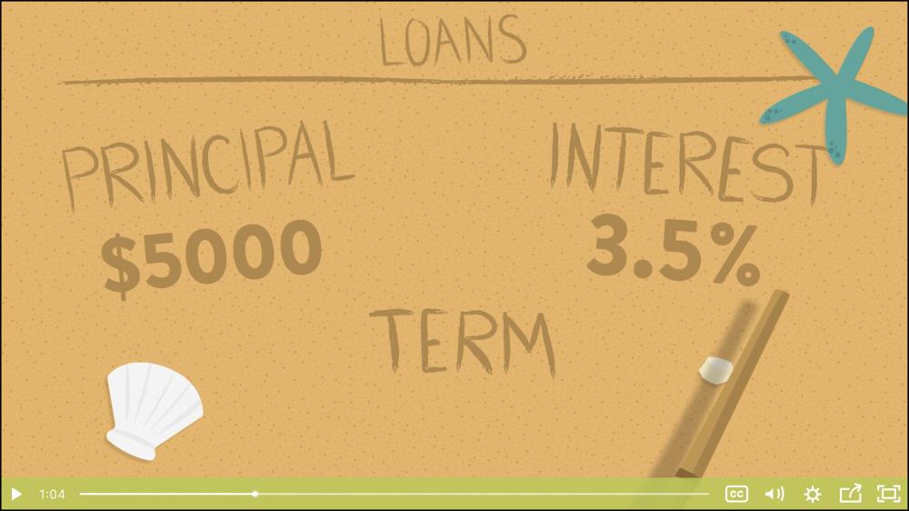 Video - Loan Basics