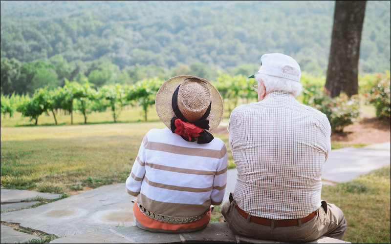 Couple sitting with their backs to the camera, looking out at a vineyard.