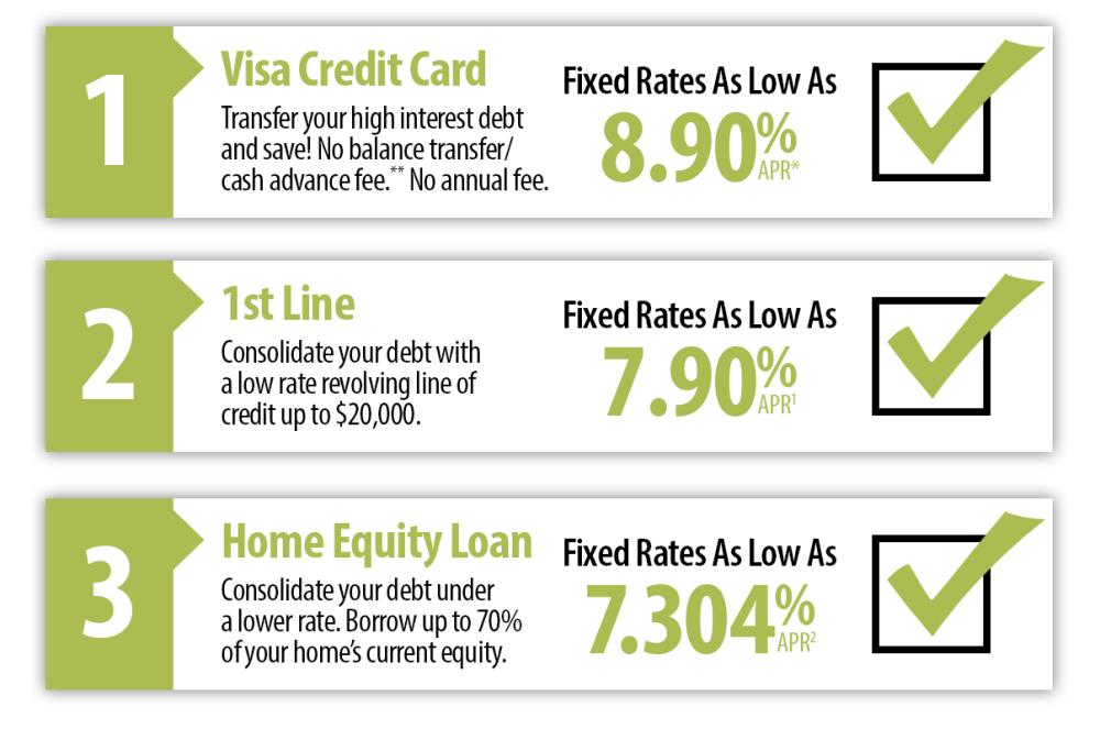 Visa Credit Card, 1st Line, and Home Equity Loans