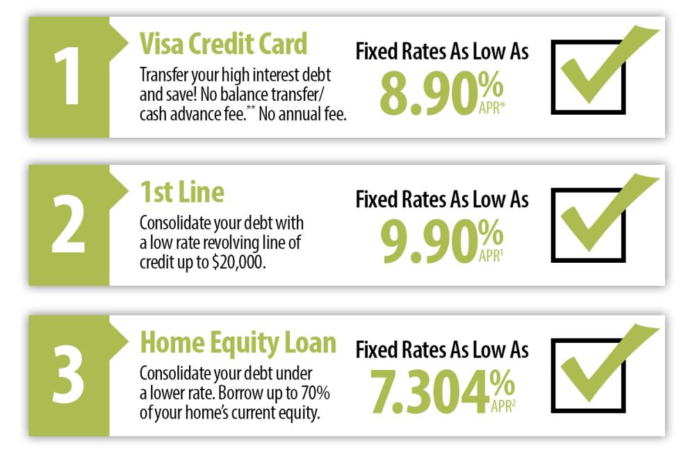Visa Credit Card, 1st Line, and Home Equity Loans