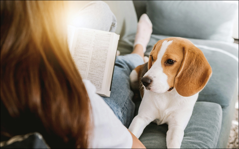 Person reading on couch with dog next to them.