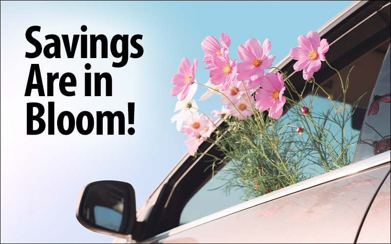 Savings are in bloom! Car with pink flowers coming out of the window.