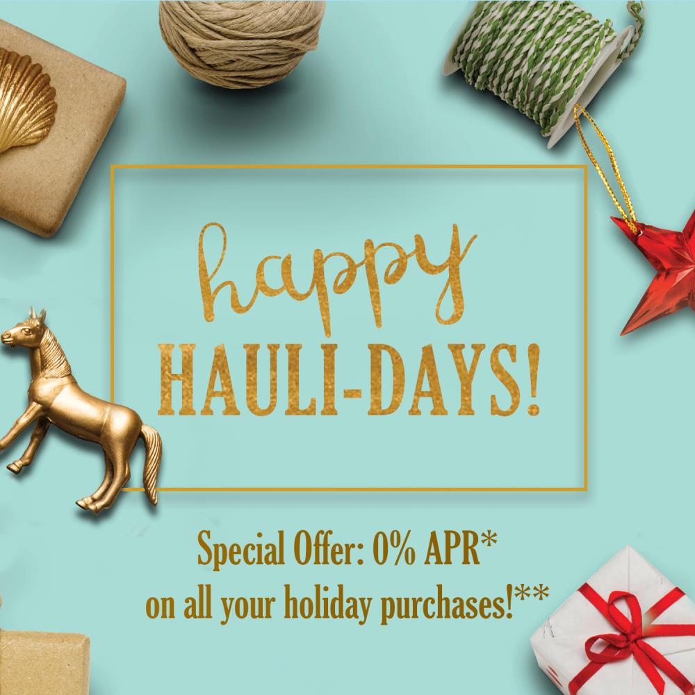 Enjoy 0% on all holiday purchases!**
