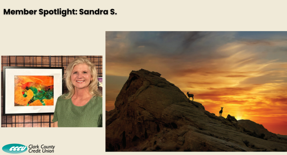 Member Spotlight Photo