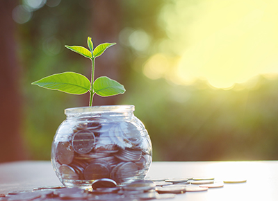 This is a picture of a jar of money with a plant growing from it.