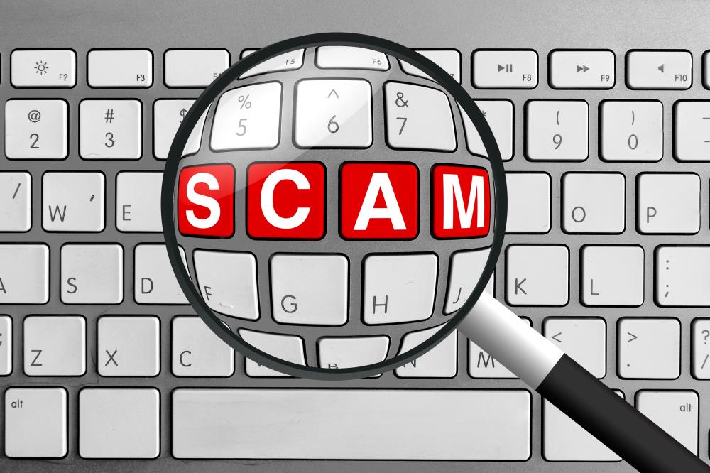 IRS Phishing Scam