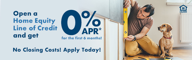 0% APR for 6 months for HELOCs