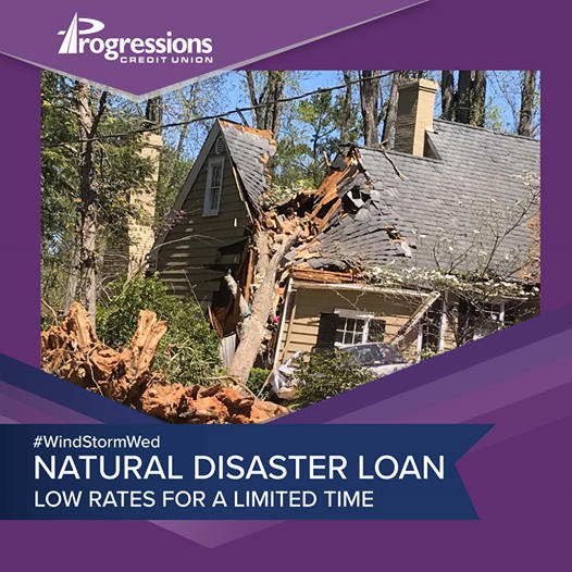 natural disaster loan; tree through a roof